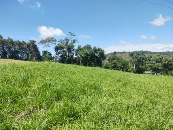 TERRENO EM CONDOMÍNIO FECHADO EM MOGI DAS CRUZES-SP