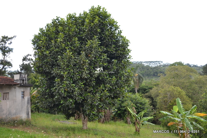 Chácara para pessoas exigentes