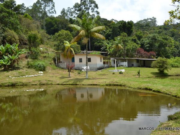 Sítio pedra rachada com muita água – confira