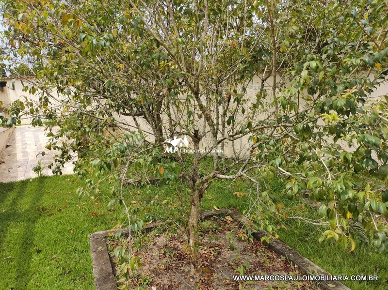 LINDA CHÁCARA EM BIRITIBA MIRIM !