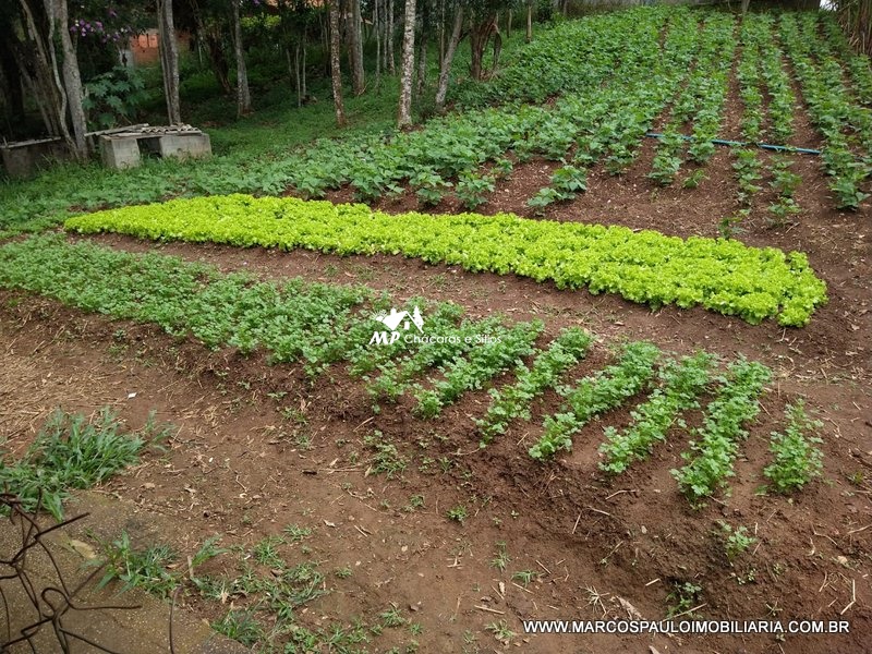 ÓTIMA CHÁCARA EM BIRITIBA MIRIM – SP