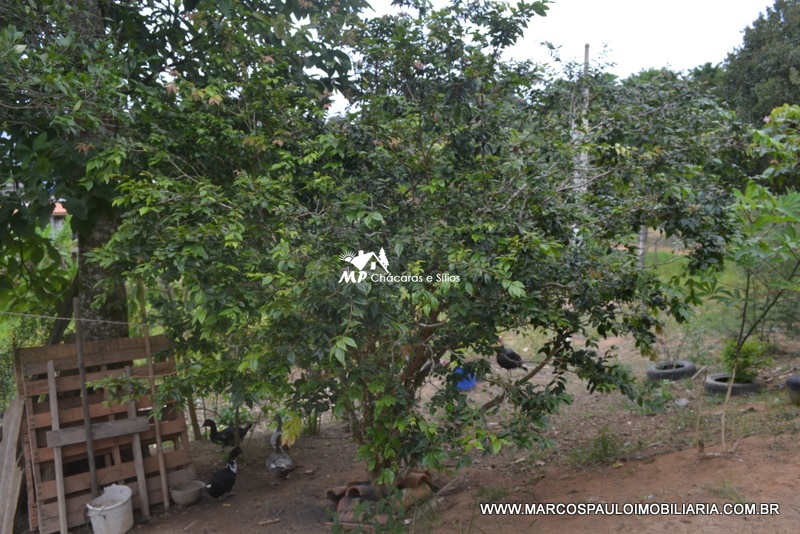 ÓTIMA CHÁCARA EM BIRITIBA MIRIM – SP