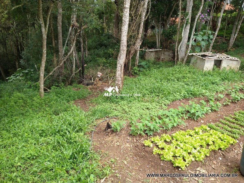 ÓTIMA CHÁCARA EM BIRITIBA MIRIM – SP