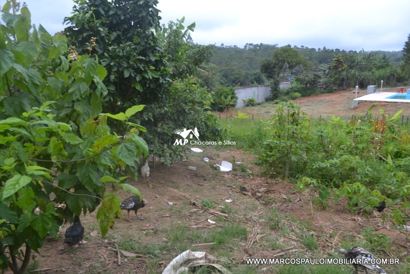 ÓTIMA CHÁCARA EM BIRITIBA MIRIM – SP