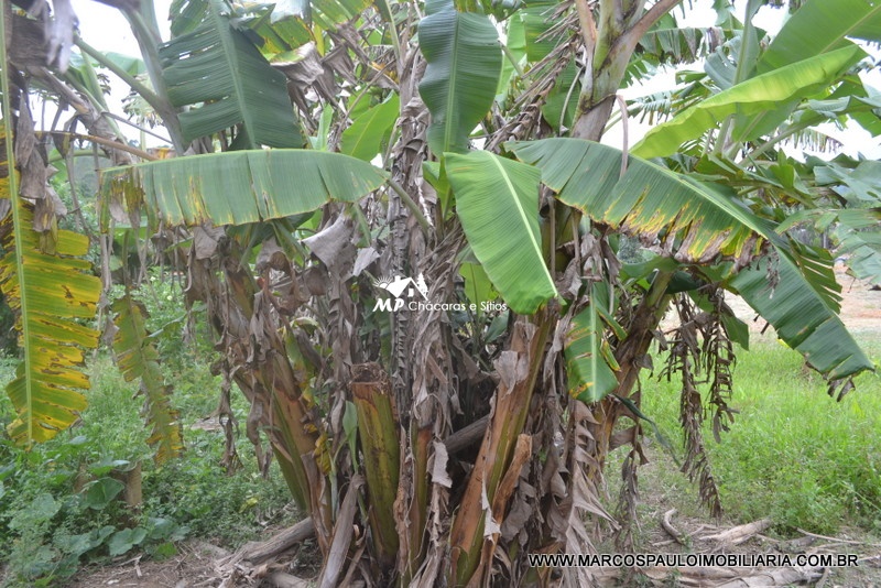ÓTIMA CHÁCARA EM BIRITIBA MIRIM – SP