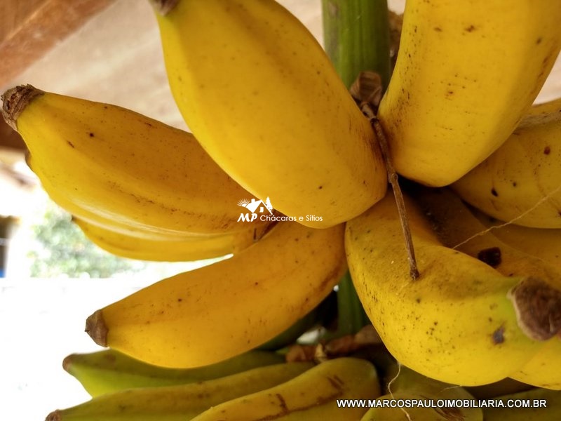 ÓTIMA CHÁCARA EM BIRITIBA MIRIM – SP