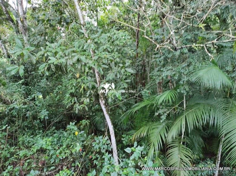 CHÁCARA ESPETACULAR EM CONDOMÍNIO FECHADO… CONFIRA!!!