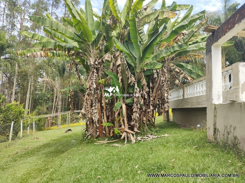 LINDA CHÁCARA EM BIRITIBA MIRIM !