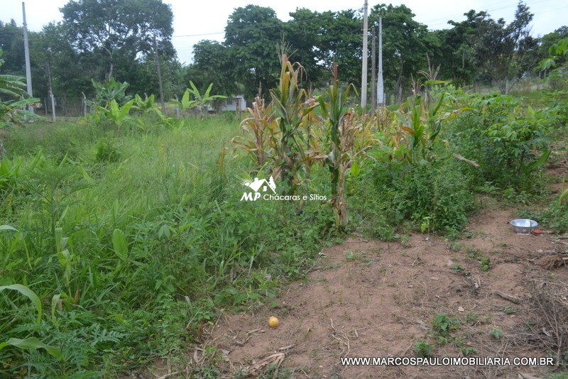ÓTIMA CHÁCARA EM BIRITIBA MIRIM – SP