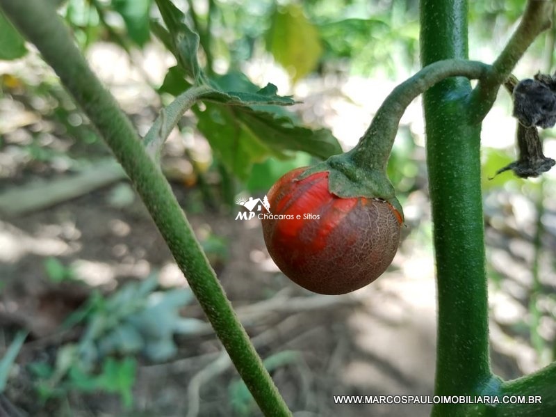CHÁCARA ESPETACULAR EM BIRITIBA MIRIM – SP
