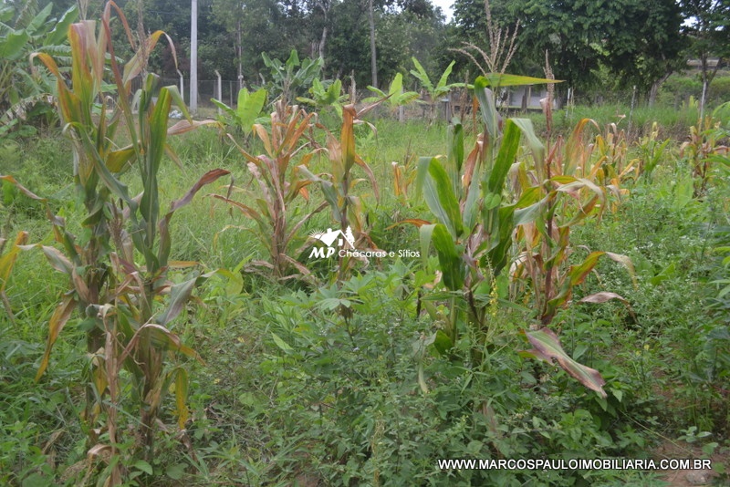 ÓTIMA CHÁCARA EM BIRITIBA MIRIM – SP