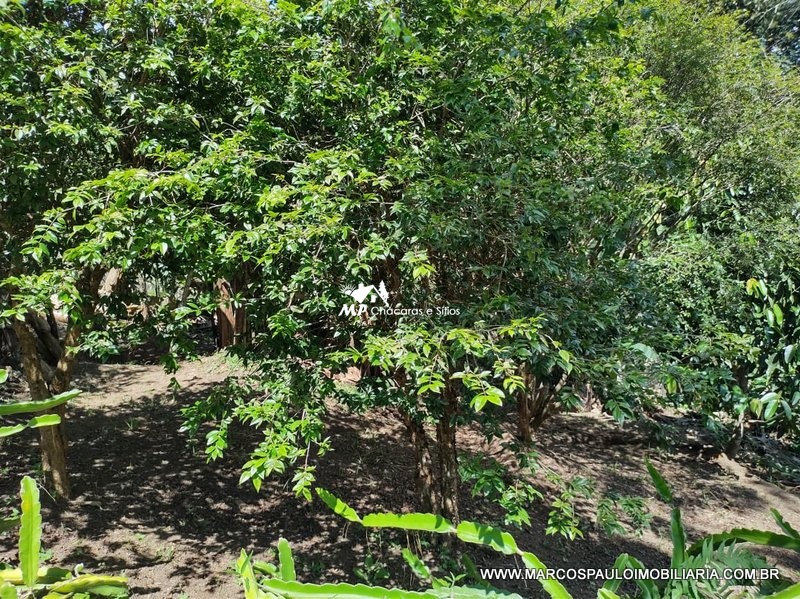 CHÁCARA ESPETACULAR EM BIRITIBA MIRIM – SP