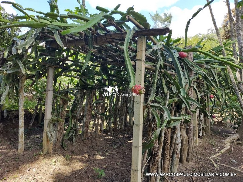 CHÁCARA ESPETACULAR EM BIRITIBA MIRIM – SP