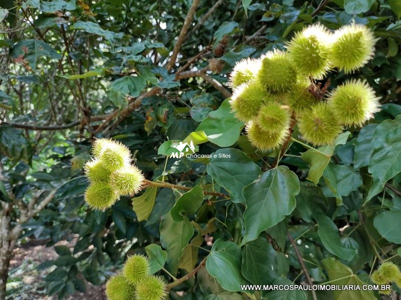 CHÁCARA ESPETACULAR EM BIRITIBA MIRIM – SP