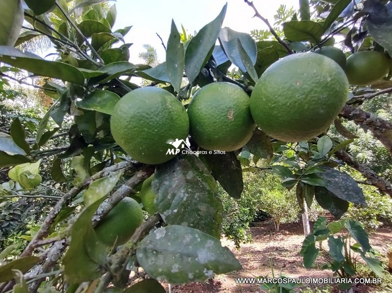 CHÁCARA ESPETACULAR EM BIRITIBA MIRIM – SP