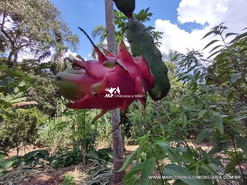 CHÁCARA ESPETACULAR EM BIRITIBA MIRIM – SP