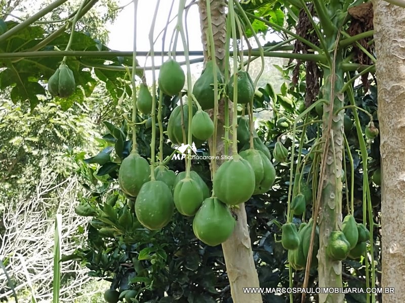 CHÁCARA ESPETACULAR EM BIRITIBA MIRIM – SP