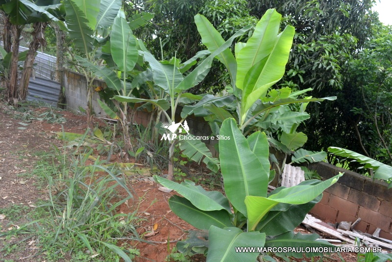 CHÁCARA COM VISTA PANORÂMICA