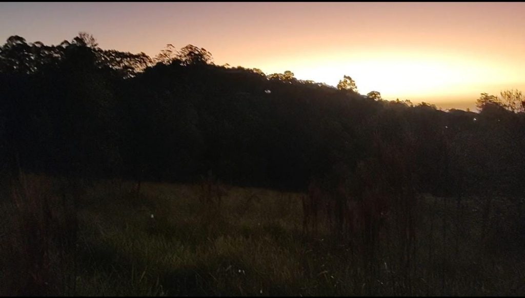 TERRENO 2.500 METROS QUADRADOS COM UMA VISTA SENSACIONAL