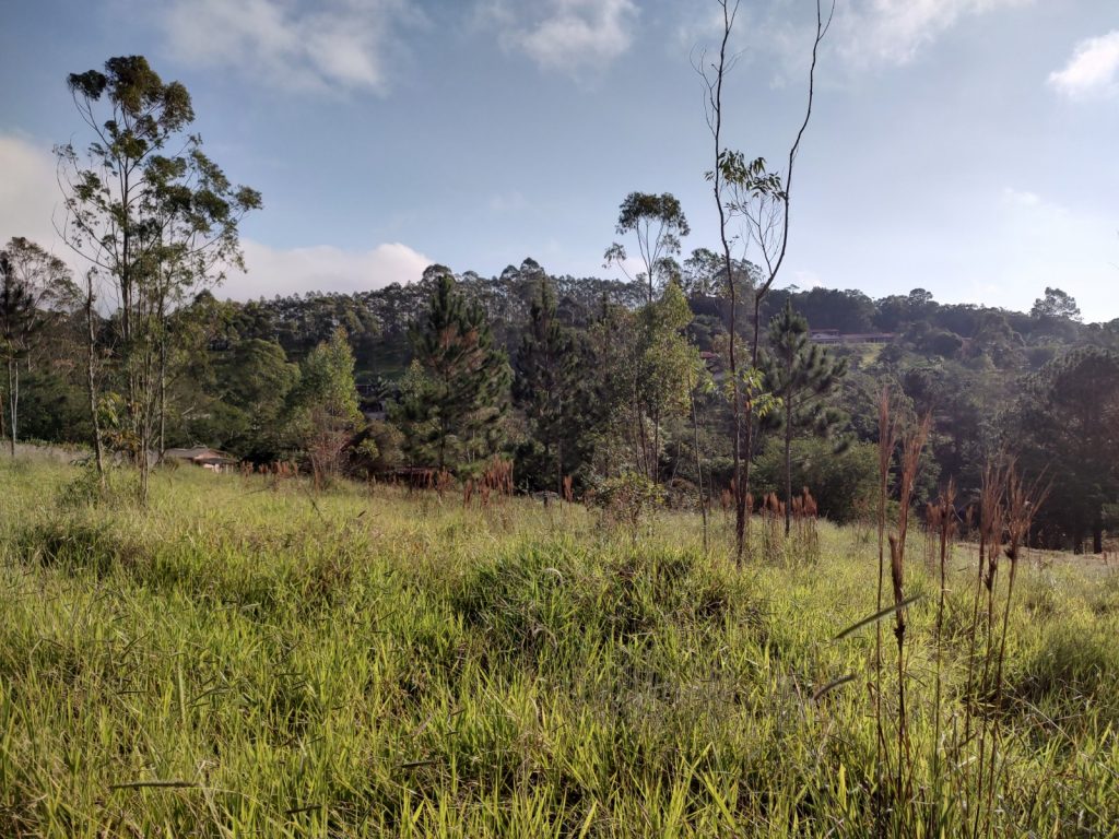 TERRENO 2.500 METROS QUADRADOS COM UMA VISTA SENSACIONAL