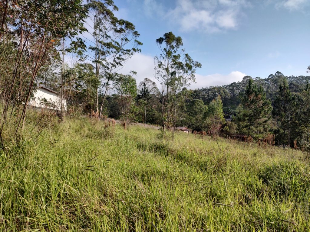 TERRENO 2.500 METROS QUADRADOS COM UMA VISTA SENSACIONAL
