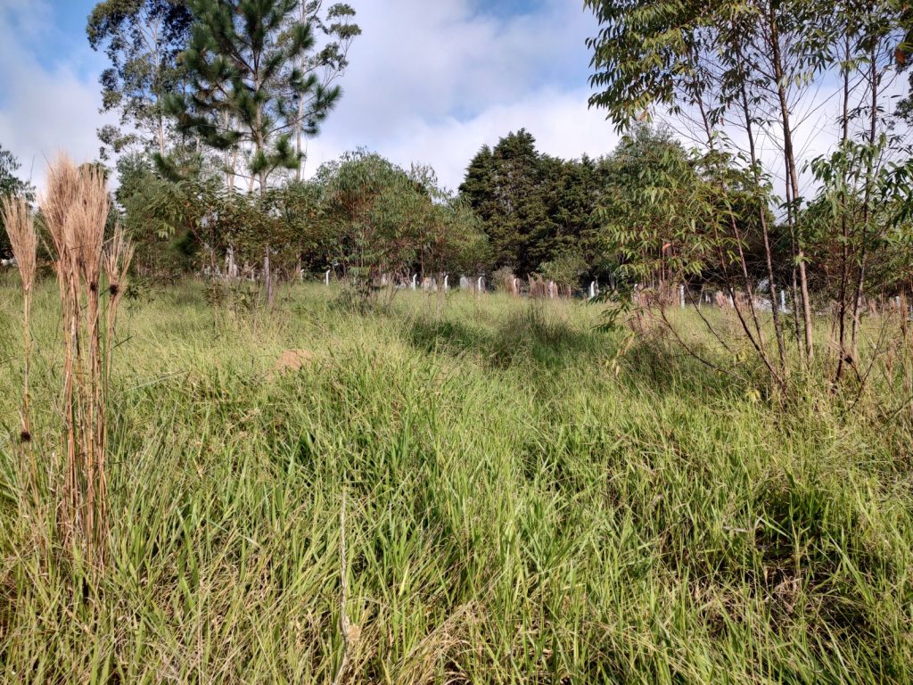 TERRENO 2.500 METROS QUADRADOS COM UMA VISTA SENSACIONAL