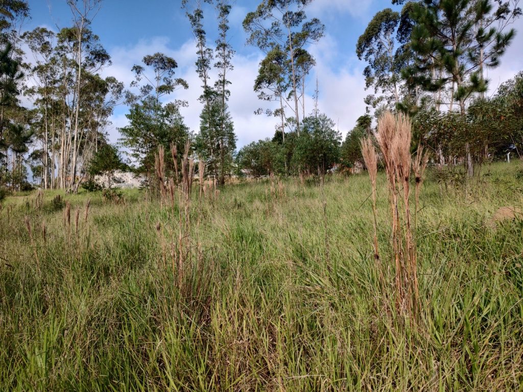 TERRENO 2.500 METROS QUADRADOS COM UMA VISTA SENSACIONAL