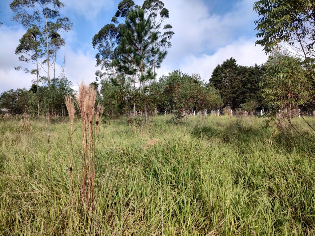 TERRENO 2.500 METROS QUADRADOS COM UMA VISTA SENSACIONAL