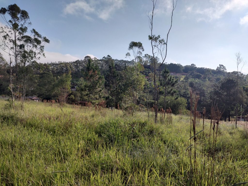TERRENO 2.500 METROS QUADRADOS COM UMA VISTA SENSACIONAL
