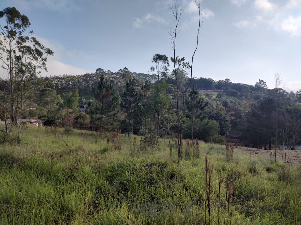 TERRENO 2.500 METROS QUADRADOS COM UMA VISTA SENSACIONAL