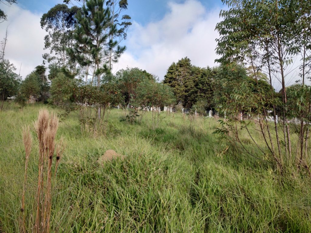 TERRENO 2.500 METROS QUADRADOS COM UMA VISTA SENSACIONAL