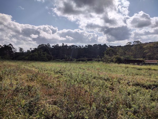 TERRENO COM 5.000 M² PARA FORMAR SUA CHÁCARA DOS SONHOS