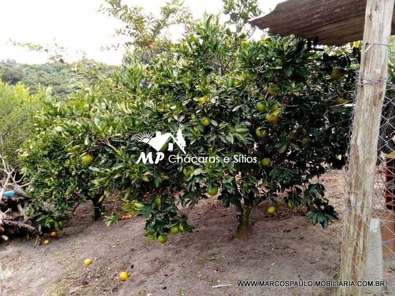Chácara em biritiba mirim-SP com Nascente