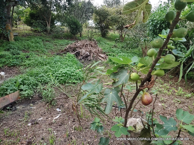 CHÁCARA COM PISCINA E CHURRASQUEIRA