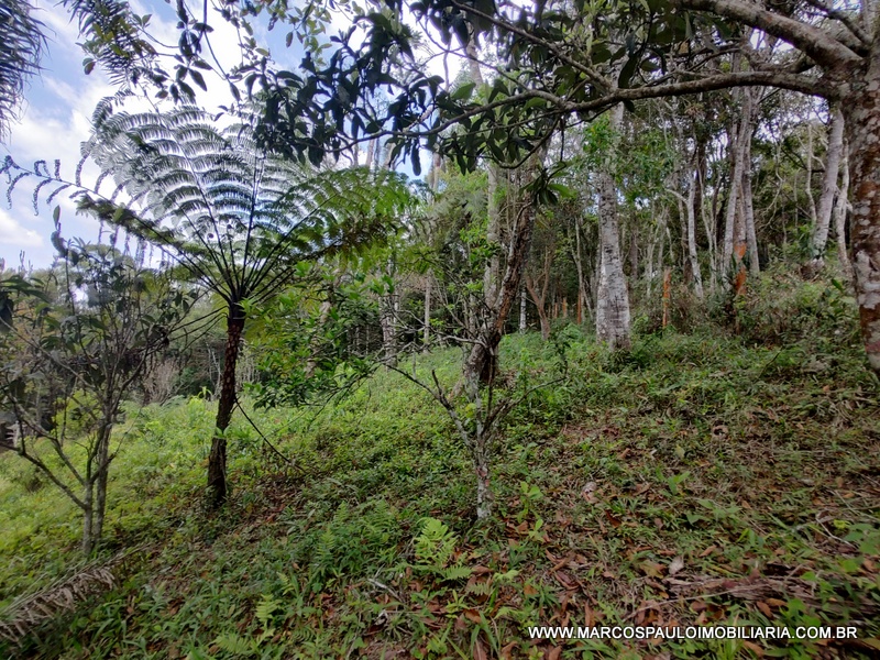 ÓTIMO TERRENO PARA FORMAR SUA CHÁCARA