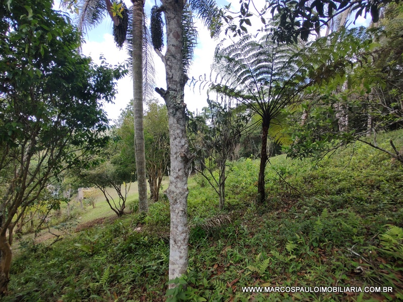 ÓTIMO TERRENO PARA FORMAR SUA CHÁCARA