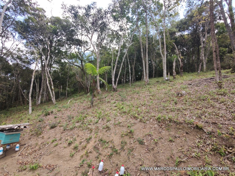 ÓTIMO TERRENO PARA FORMAR SUA CHÁCARA