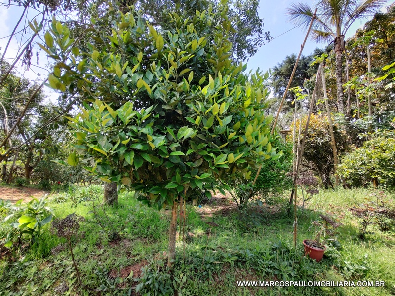 CHÁCARA COM 2 CASA NO TERRENO – CONFIRA