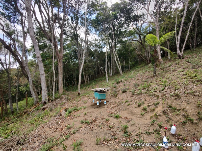 ÓTIMO TERRENO PARA FORMAR SUA CHÁCARA