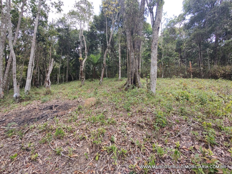 ÓTIMO TERRENO PARA FORMAR SUA CHÁCARA