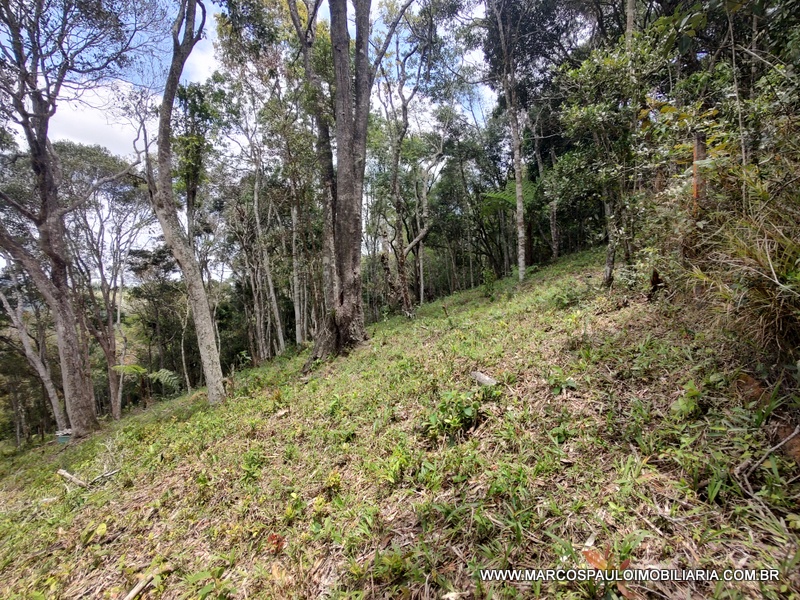 ÓTIMO TERRENO PARA FORMAR SUA CHÁCARA