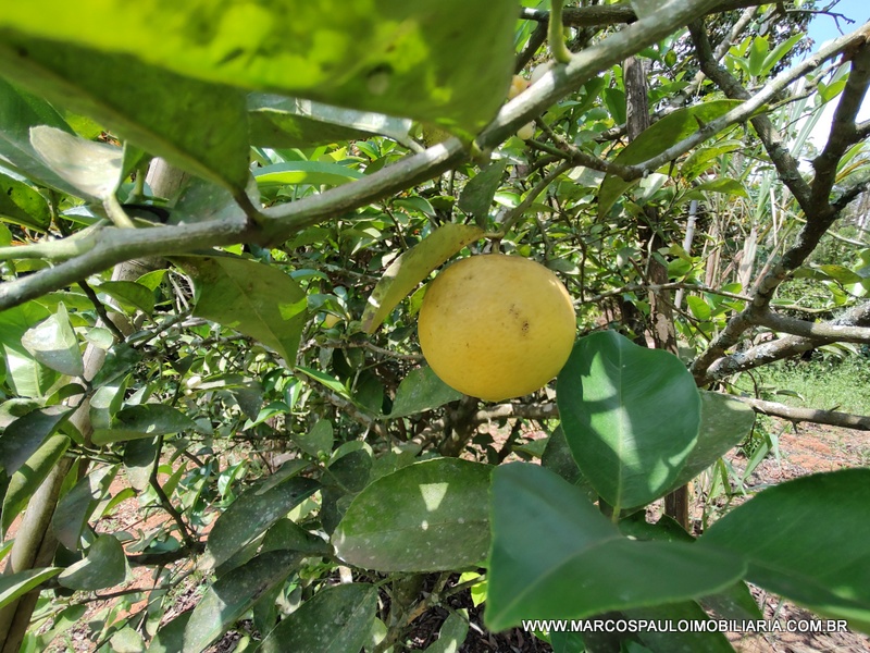 CHÁCARA COM 2 CASA NO TERRENO – CONFIRA