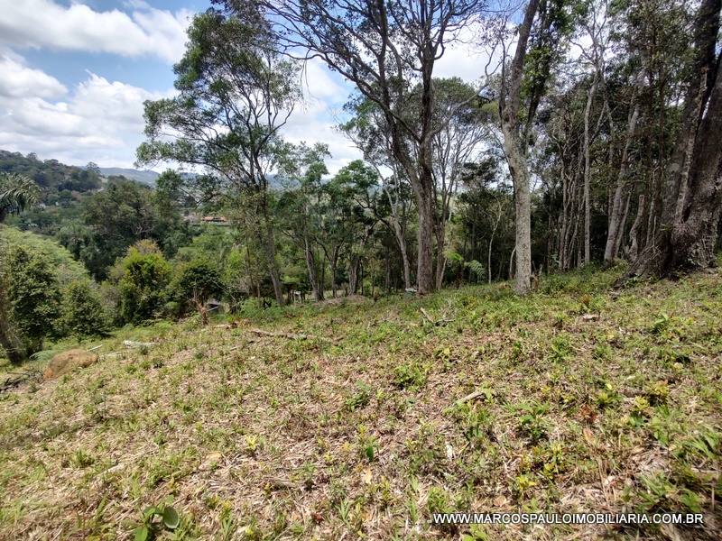 ÓTIMO TERRENO PARA FORMAR SUA CHÁCARA