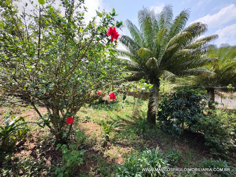 CHÁCARA COM 2 CASA NO TERRENO – CONFIRA