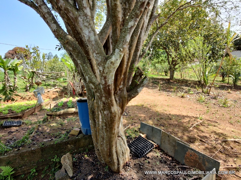 CHÁCARA COM 2 CASA NO TERRENO – CONFIRA