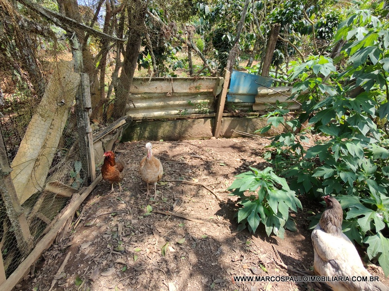 CHÁCARA COM 2 CASA NO TERRENO – CONFIRA