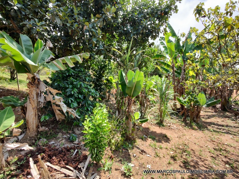 CHÁCARA COM 2 CASA NO TERRENO – CONFIRA