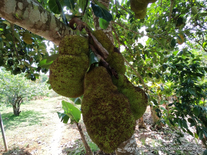 CHÁCARA COM 2 CASA NO TERRENO – CONFIRA