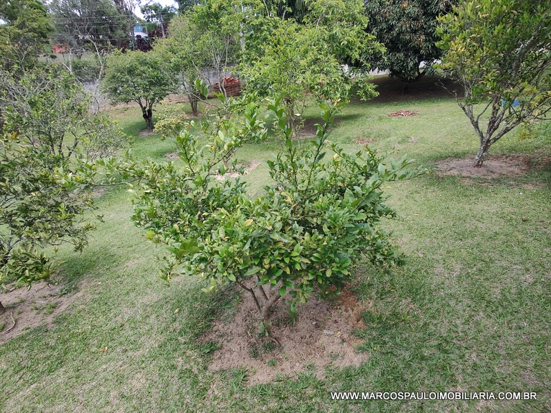 CHÁCARA ESPLENDOROSA EM BIRITIBA MIRIM