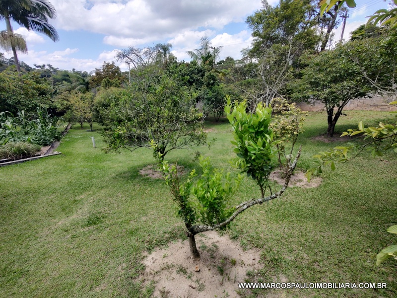 CHÁCARA ESPLENDOROSA EM BIRITIBA MIRIM